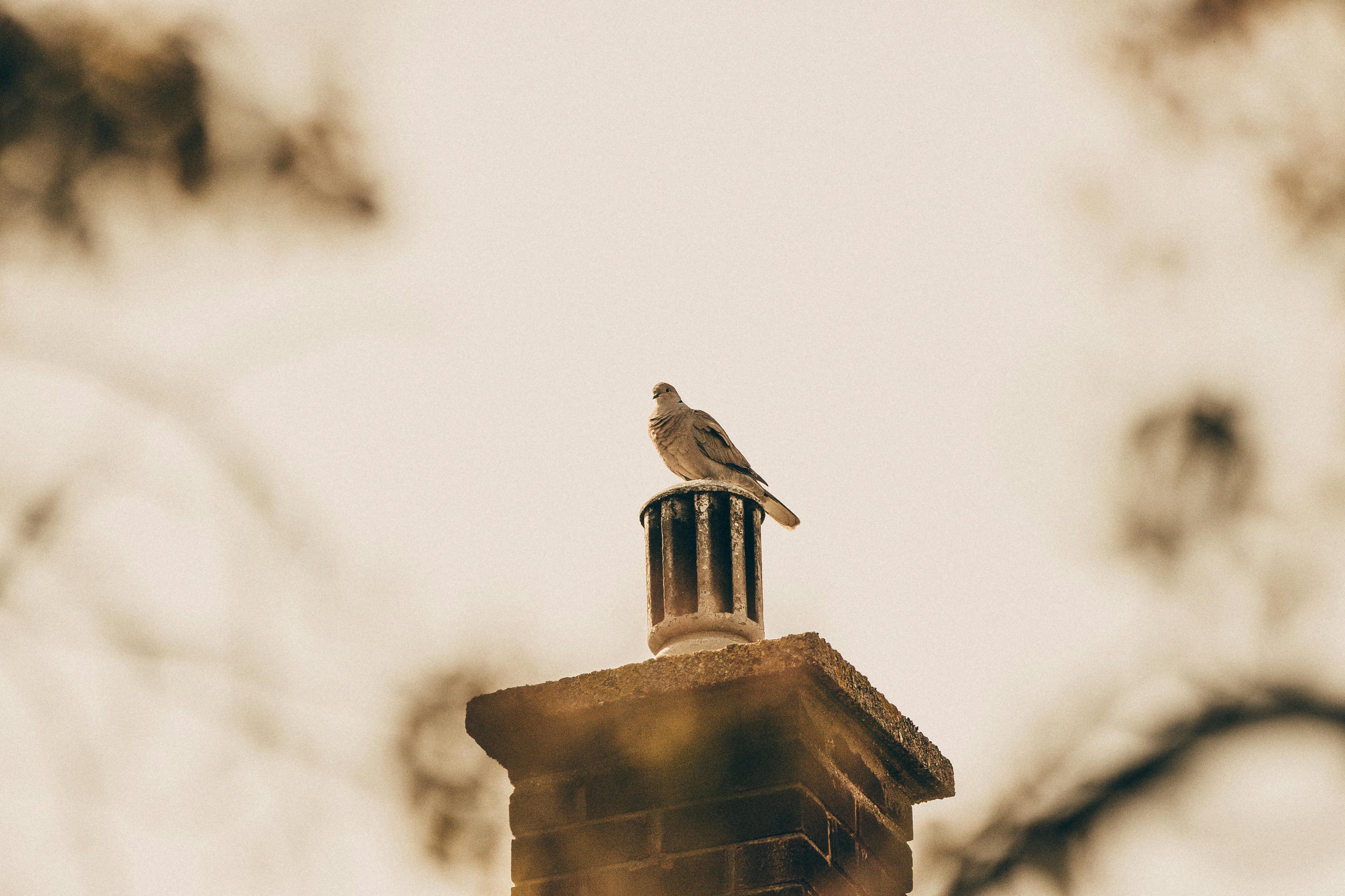 Expert Chimney Cap Installation in Boca Raton, Florida